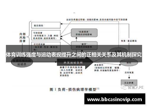 体育训练强度与运动表现提升之间的正相关关系及其机制探究