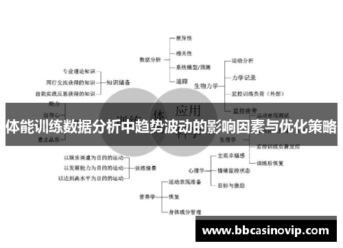 体能训练数据分析中趋势波动的影响因素与优化策略