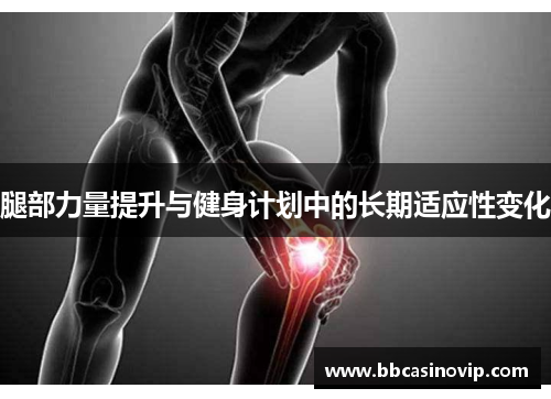 腿部力量提升与健身计划中的长期适应性变化