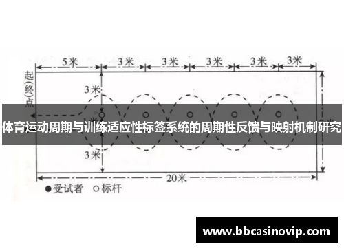 体育运动周期与训练适应性标签系统的周期性反馈与映射机制研究